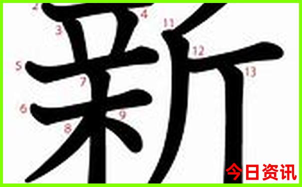 临港有什么好玩的景点推荐